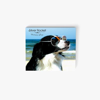 Silver Rocket - Unhappy Songs CD